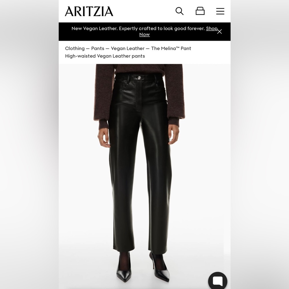 Aritzia Melina vegan leather pants in Black